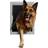 Ideal Pet Products Plastic Door with Telescoping Frame Super Large