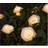 GardenWize Solar 2 Flower Cream String Light