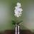 Leaf 46Cm Orchid With Artificial Plant