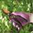 Gardenkraft 8-Inch Pruning Shears