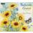 Lang Companies Nature s Grace 2024 Wall Calendar