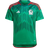 Adidas Mexico National Team 2022/23 Home Blank Replica Jersey