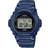 Casio Heavy Duty (W-219H-2AV)