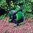 Samuel Alexander Kingfisher Metre Compact Pipe Reel Garden Watering 15m