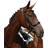 Collegiate Syntovia Padded Raised Cavesson Bridle