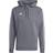 Adidas Men's Tiro 23 League Sweat Hoodie - Adfy Tmonix