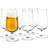 Holmegaard Bouquet Beer Glass 53cl 6pcs