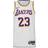 Nike Men's Los Angeles Lakers Association Edition 2022/23 Dri-Fit NBA Swingman Jersey