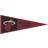 WinCraft Miami Heat Wool Primary Logo Pennant