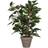 Mica Decorations 930307 Ficus Natasja Stan Pot, Polyester, Green, 30 x 30 x 40 cm Artificial Plant