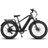 Dirwin Pioneer Fat Tire Electric Bike Unisex