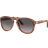 Persol PO0649 649