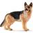 Schleich German Shepherd 16831