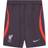 Nike Men's Liverpool FC Strike Third Dri-Fit Knit Football Shorts