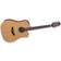 Takamine GD20CE