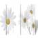 vidaXL Flower Room Divider 200x170cm