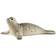 Schleich Seal 14801