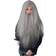 Bristol Wizard Wig Long Beard Grey