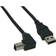 InLine Down Angled USB A - USB B 2.0 2m