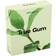 True Gum Mint Chewing Gum 21g