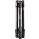 Manfrotto Befree GT Carbon + MH496-BH