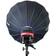 Westcott Beauty Dish Switch