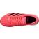 Adidas Adizero Boston 9 W - Signal Pink/Core Black/Copper Metallic