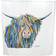 Croydex Angus Mccoo (AF304022H)