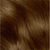 Clairol Nice’n Easy #6 Light Brown