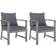 vidaXL 311831 2-pack Garden Dining Chair