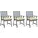 vidaXL 3064452 3-pack Garden Dining Chair