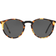 Oliver Peoples O´Malley Sun OV5183S 1407P2