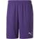 Puma teamGOAL 23 Knit Shorts Men - Prism Violet