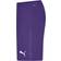 Puma teamGOAL 23 Knit Shorts Men - Prism Violet