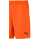 Puma teamGOAL 23 Knit Shorts Men - Golden Poppy