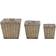 vidaXL Raised Bed 3 pack