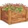 vidaXL Garden Raised Bed 60x60x44cm