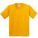 Gildan Heavy Cotton T-Shirt Pack Of 2 - Gold (UTBC4271-46)