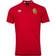 Canterbury British and Irish Lions Pique Polo Shirt - Tango Red