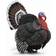 Collecta Turkey 88762