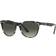 Ray-Ban Wayfarer II Fleck RB2185 133371