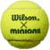 Wilson Minions Stage 1 - 3 Balls