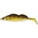 Westin ZanderTeez Shadtail 8.5cm Zander 2-pack