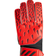 Adidas Predator 20 Training - Red/Black