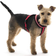 Halti Comfy Dog Harness S