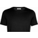 Icebreaker Merino Tech Lite II Short Sleeve T-shirt - Black