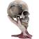 Nemesis Now Sad But True Skull Figurine 22cm