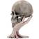 Nemesis Now Sad But True Skull Figurine 22cm