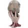 Nemesis Now Sad But True Skull Figurine 22cm