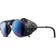 Julbo Cham J0201114